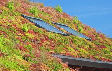 Hutton Hang living roof systems