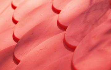 Hutton Hang plastic roof costs