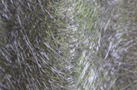 Hutton Hang fibreglass roof work